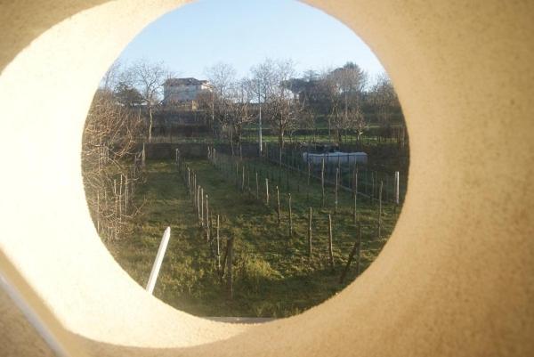 Agriturismo Sentiero Dei Sapori Casa de hóspedes Agerola Exterior foto